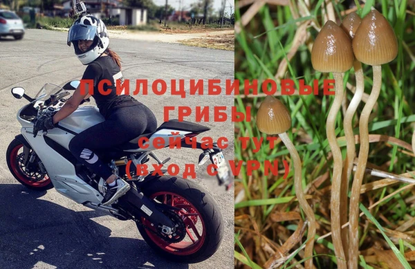 амф Козельск