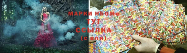амф Козельск