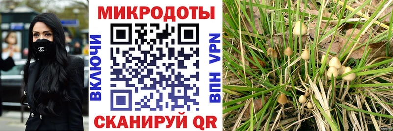Псилоцибиновые грибы прущие грибы Абинск